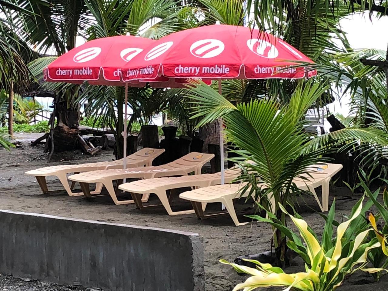 ホテルNorth Shore Surf Camp バレル エクステリア 写真
